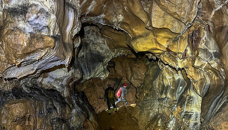 Фото - Юлия Бушуева