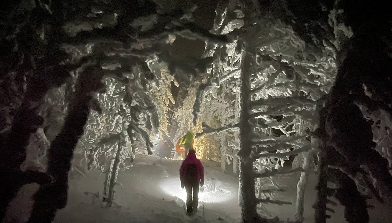 Фото - Лена Сенцова