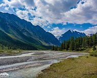 days-photo-10010