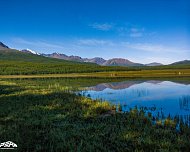 days-photo-10002