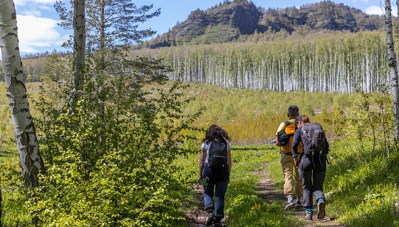 Хребет Уралтау