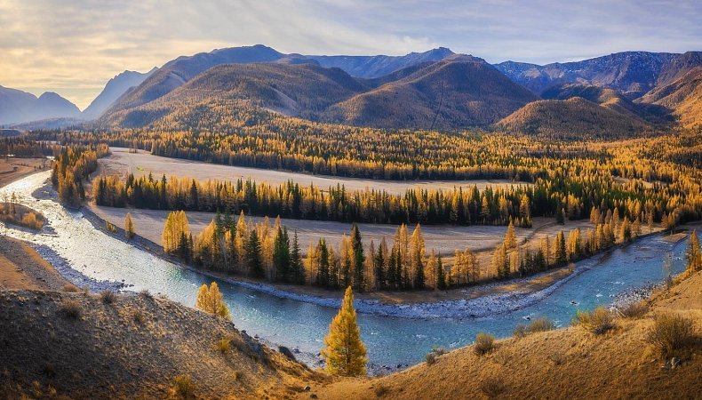 Осенняя улыбка Чуи. Фото - Сергей Межин