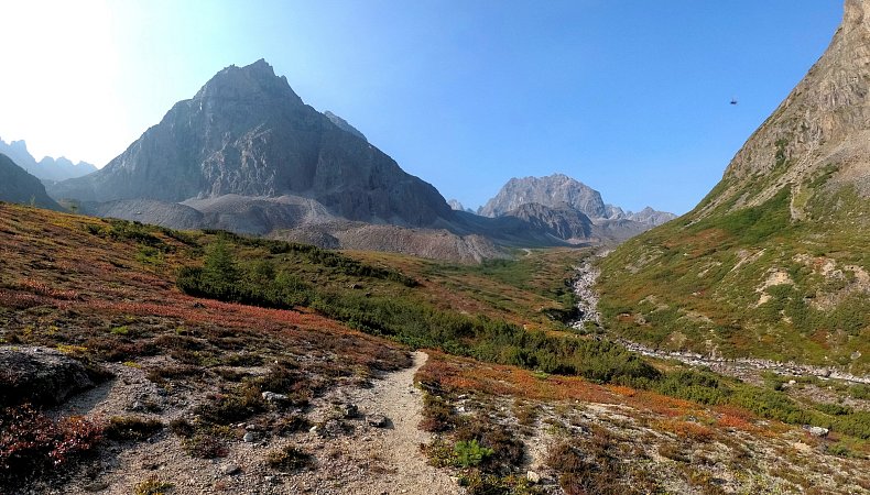 Ручей Медвежий