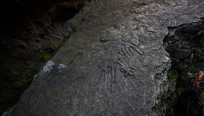 петроглиф Птица