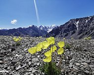 days-photo-9978