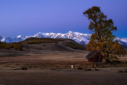 Алтай: автопутешествие по Чуйскому тракту