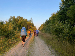 Дорога от Усть-Тыпыл в Пермский край. Фото Елены Сенцовой